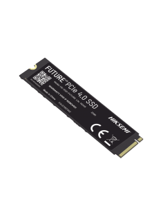 HS-SSD-FUTURE-LITE/1024G 2