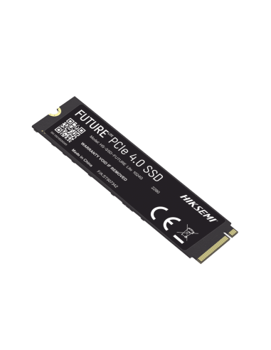 HS-SSD-FUTURE-LITE/1024G