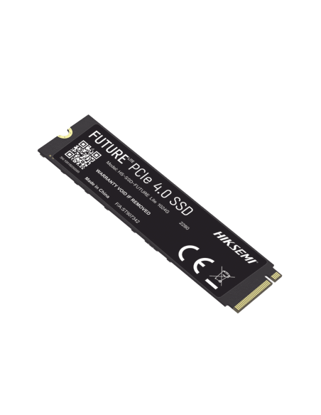 HS-SSD-FUTURE-LITE/1024G