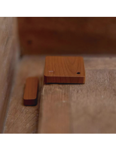 SHELLYBLUDOORWINBR 2