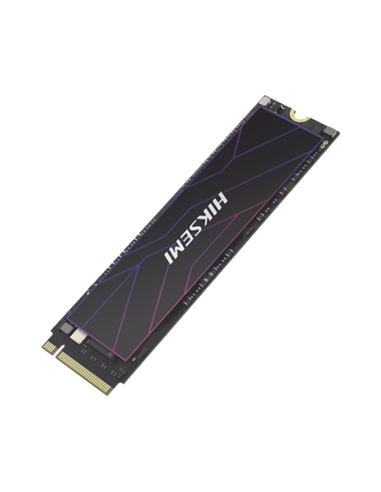 HS-SSD-FUTURE-LITE/2048G