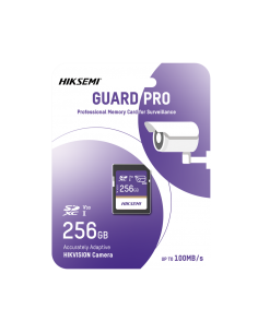 HS-SD-P10/256G/GUARDPRO 2