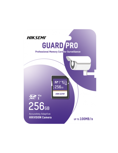 HS-SD-P10/256G/GUARDPRO