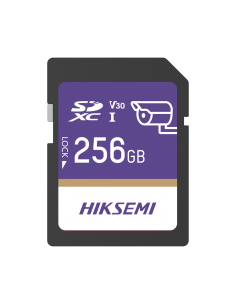 HS-SD-P10/256G/GUARDPRO