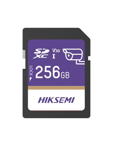 HS-SD-P10/256G/GUARDPRO