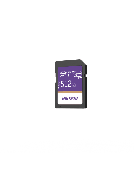 HS-SD-P10/512G/GUARDPRO