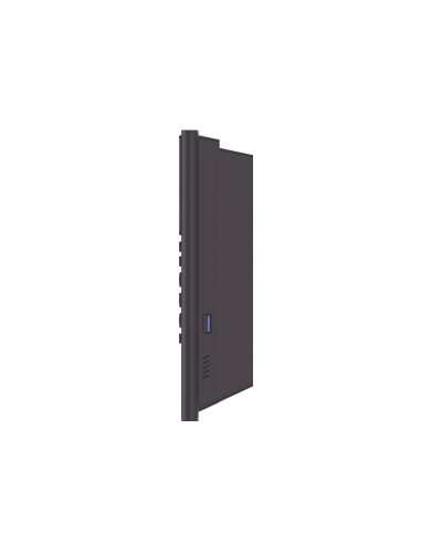 DS-K1T321EFWX-B/S