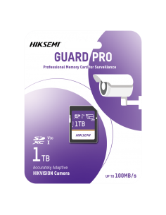 HS-SD-P10/1TB/GUARDPRO 2