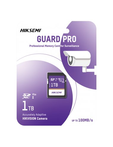 HS-SD-P10/1TB/GUARDPRO