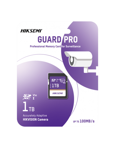 HS-SD-P10/1TB/GUARDPRO