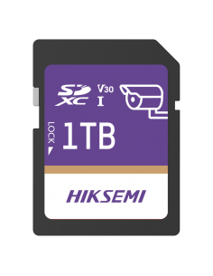HS-SD-P10/1TB/GUARDPRO