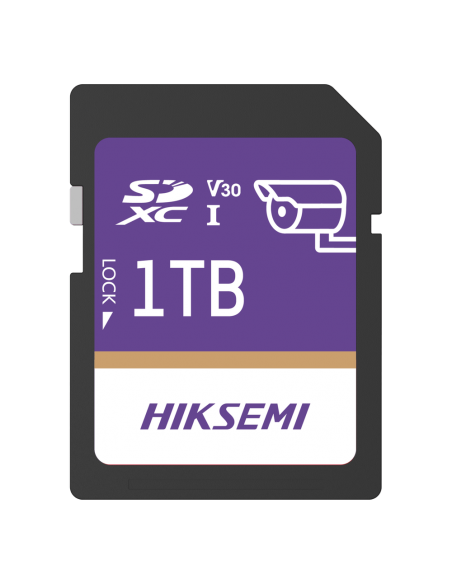 HS-SD-P10/1TB/GUARDPRO