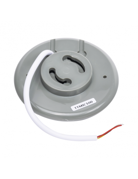 TTMIC100