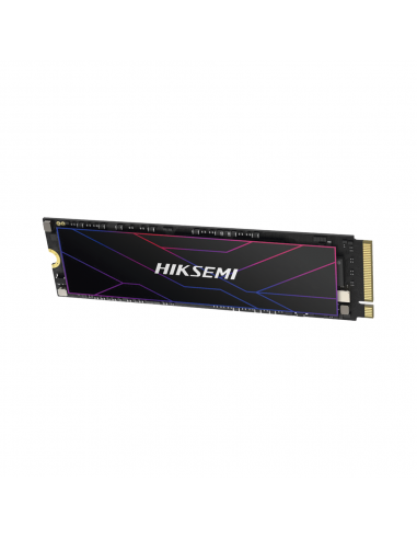 HS-SSD-FUTURE-PRO/2048G