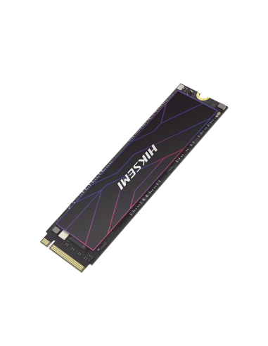 HS-SSD-FUTURE-LITE/512G