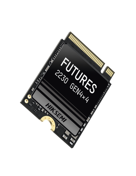 HS-SSD-FUTURES/1024G